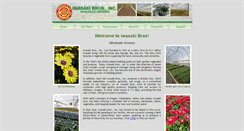 Desktop Screenshot of iwasaki-bros.com